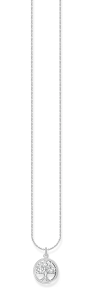 Feine silberfarbene Halskette mit rundem Anhänger in Lebensbaum-Design. Der filigran ausgearbeitete Baum wird von funkelnden klaren Zirkonia-Akzenten umrahmt und symbolisiert Wachstum, Stärke und Verbundenheit. Ein zeitloses Schmuckstück mit bedeutungsvoller Ausstrahlung.